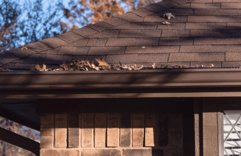 Gutter Cleaning 